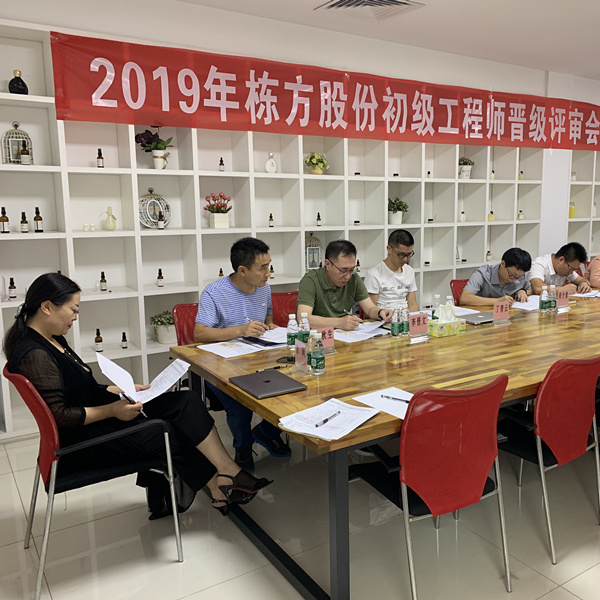 匠心筑夢，人才培養(yǎng)丨棟方股份2019初級工程師晉級評審會順利舉行